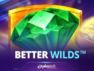 Better Wilds™ game cover