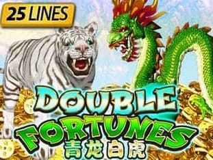 Double Fortunes game cover
